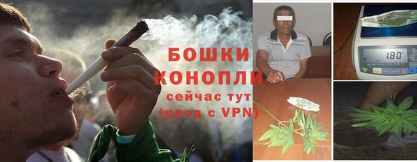 PSILOCYBIN Аркадак