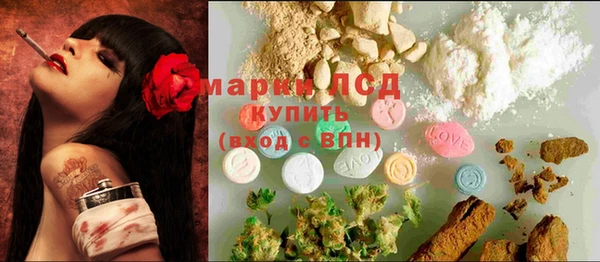 PSILOCYBIN Аркадак