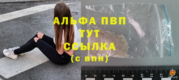 PSILOCYBIN Аркадак