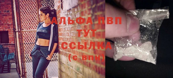 PSILOCYBIN Аркадак