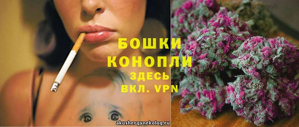 PSILOCYBIN Аркадак