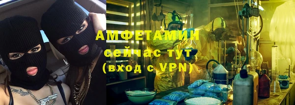 PSILOCYBIN Аркадак