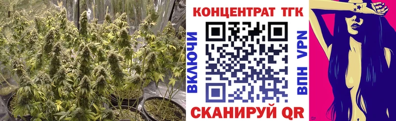 купить наркотик  Славгород  ТГК гашишное масло 