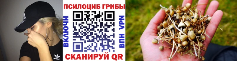 наркошоп  Славгород  Псилоцибиновые грибы мухоморы 