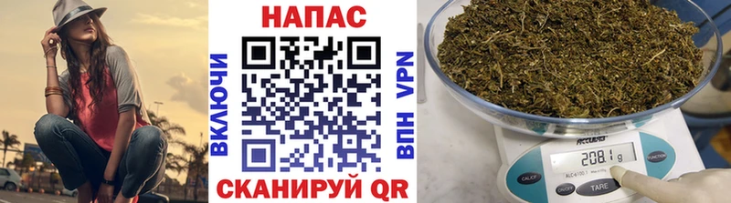 Шишки марихуана Amnesia  где найти наркотики  Славгород 